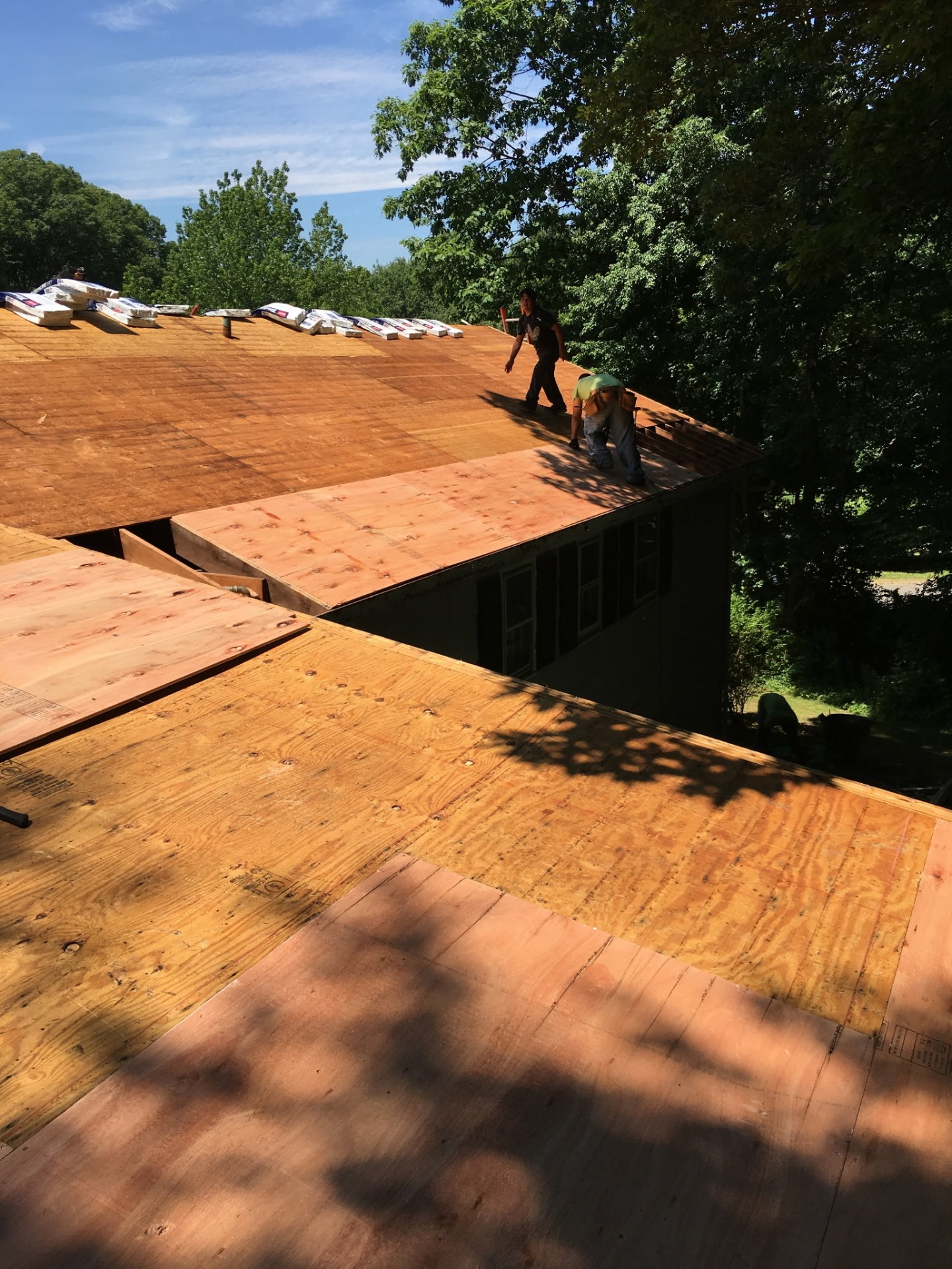 Fresh plywood decking installed across the roof