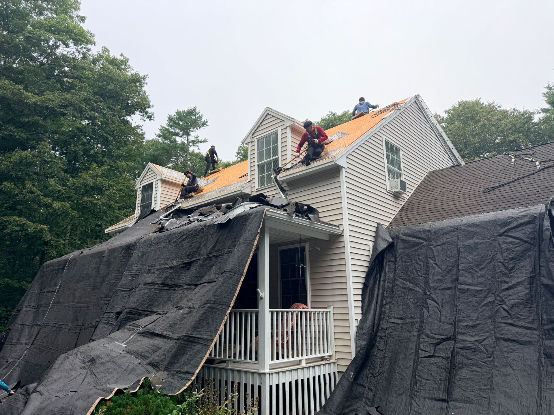 Crew stripping shingles around the dormers of the Wells home down to bare wood decking, tarps hung over the porch and siding