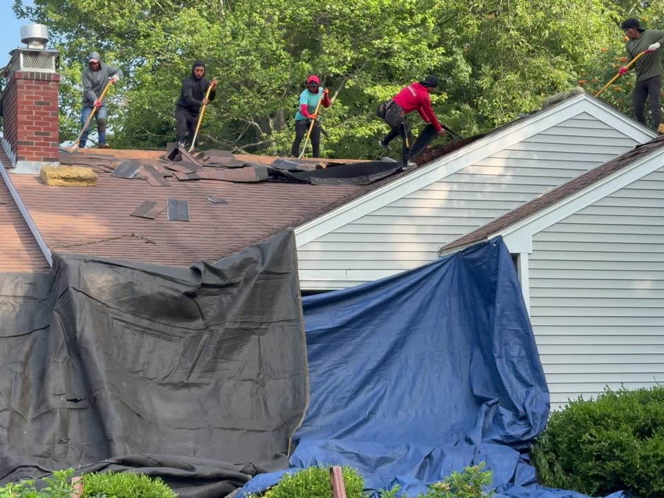 Video of the crew tearing off old shingles across the roof onto tarps — South Portland, ME