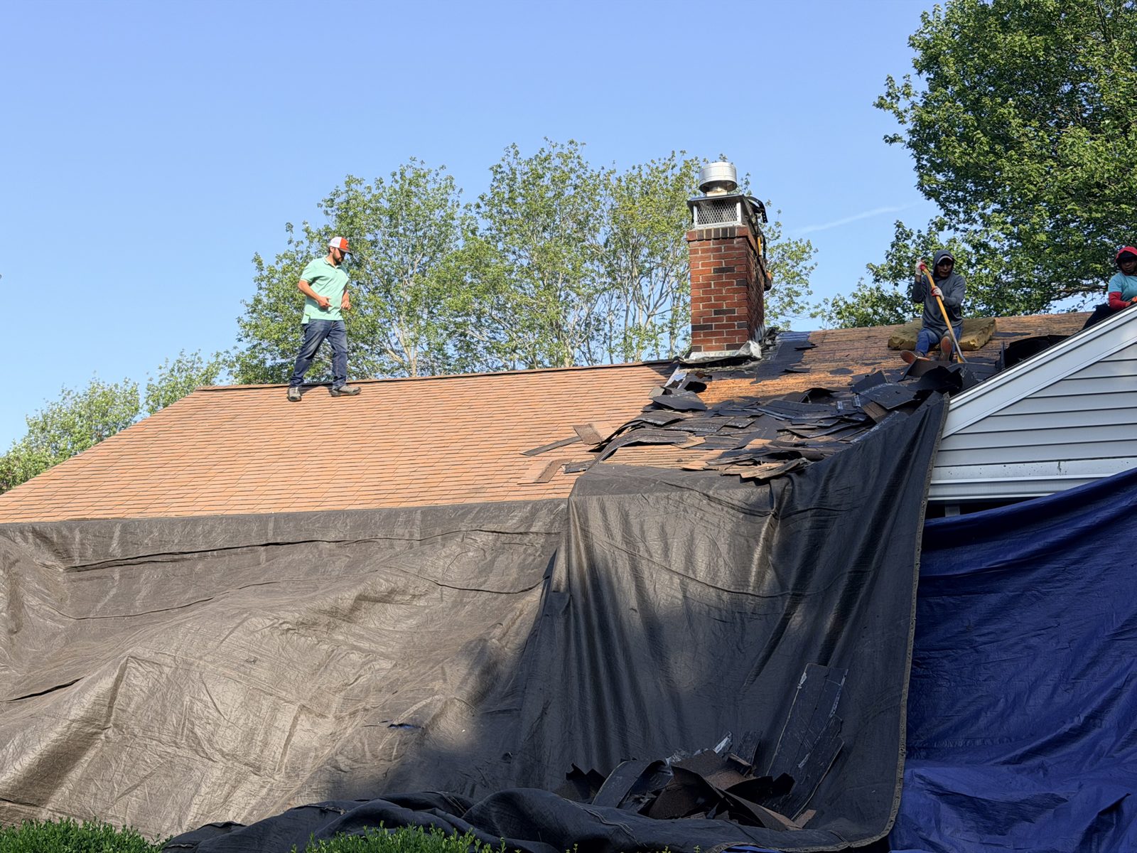 Crew stripping shingles with the house draped in black and blue tarps
