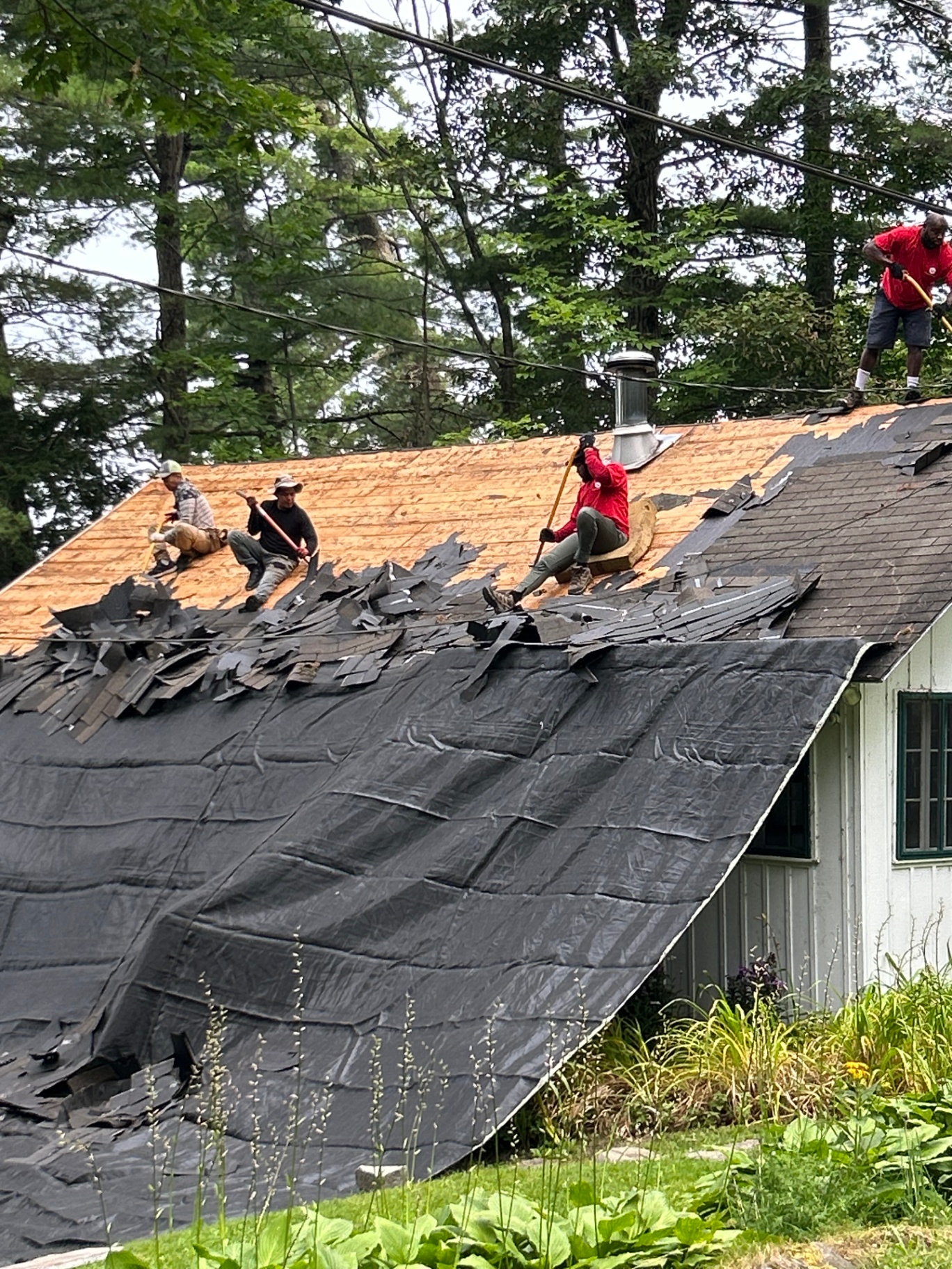 Crew stripping the last of the old shingles down to bare plywood