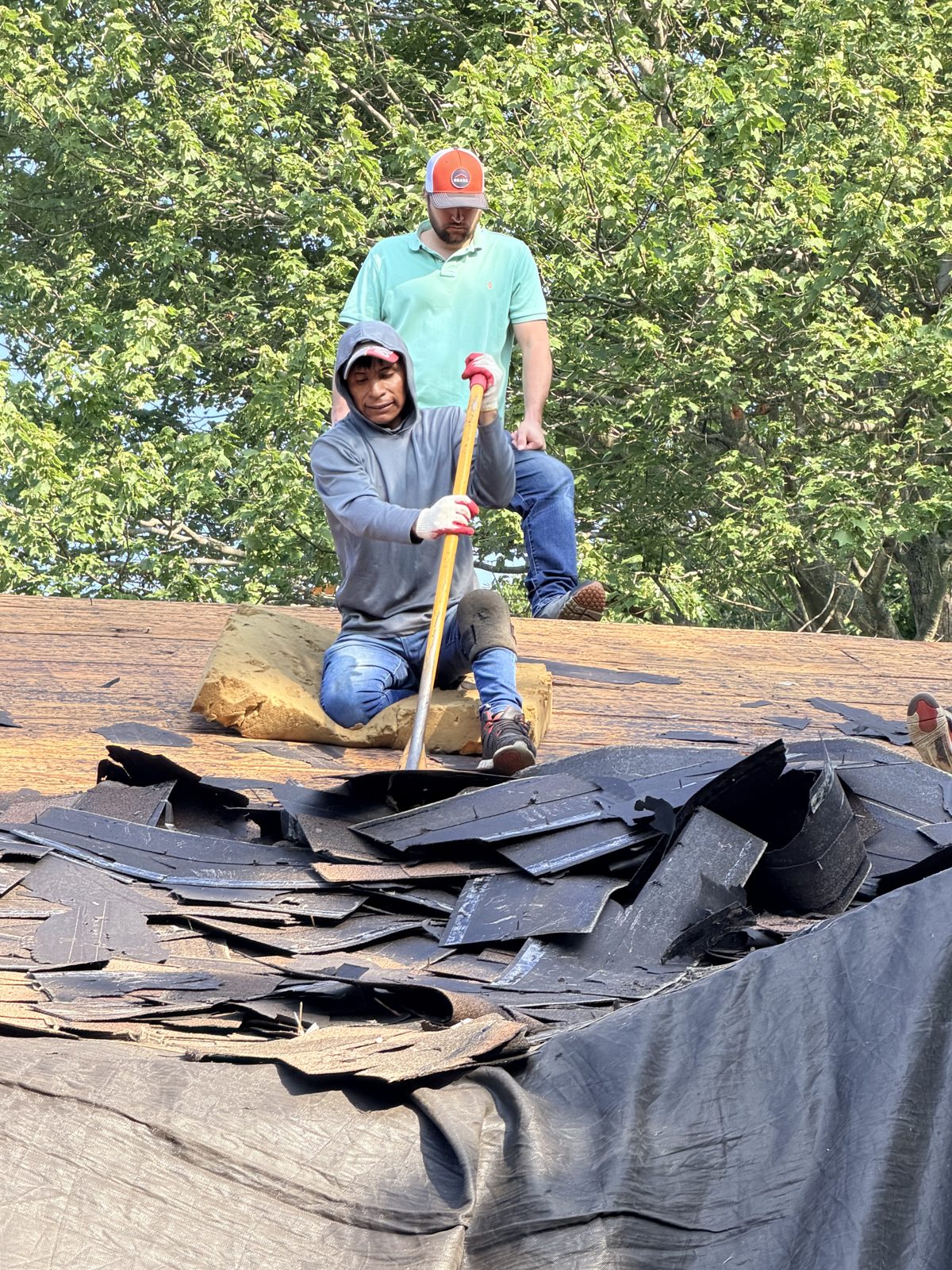 Roofer shoveling old shingles down the slope