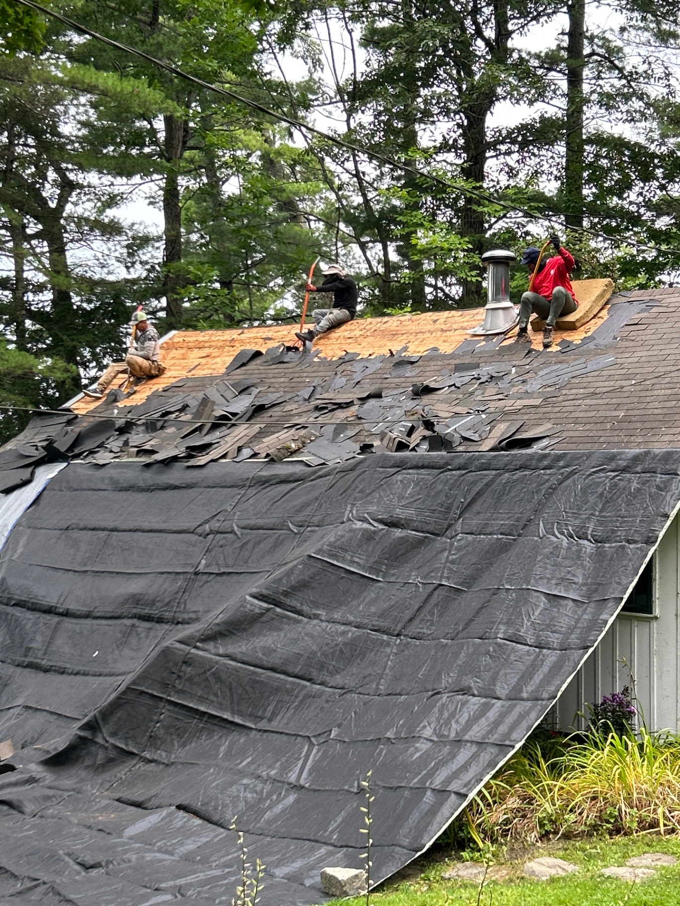 Three-man crew tearing off old shingles onto a tarped roof slope